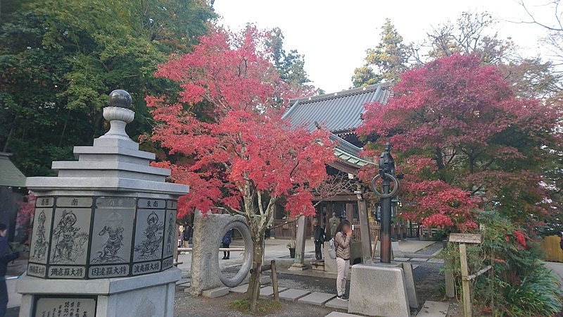 高尾山／薬王院の紅葉
