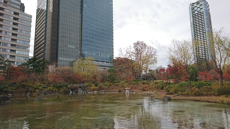 檜町公園の紅葉（2）