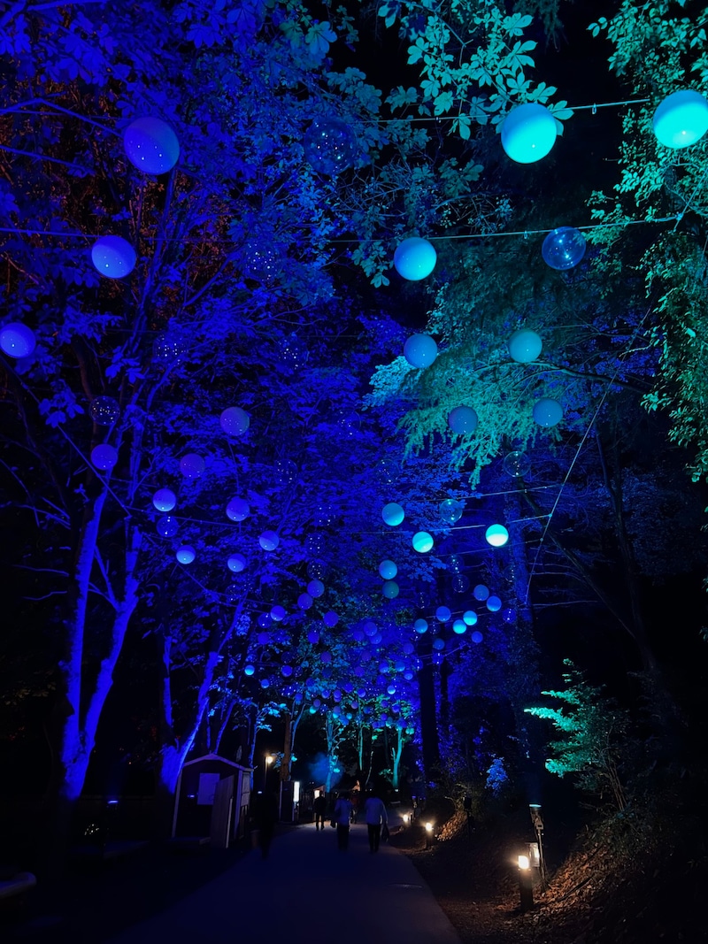 夜の『光と雪玉の道』