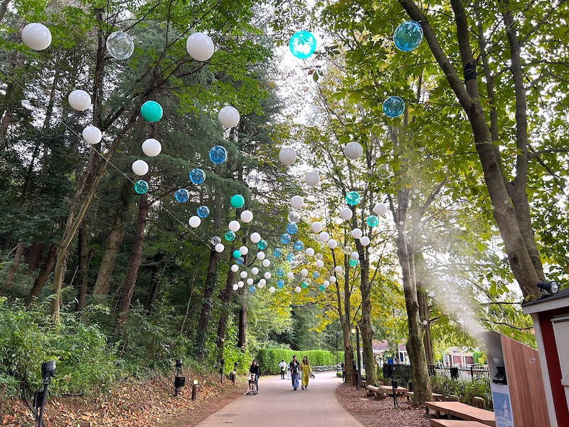 日中の「光と雪玉の道」