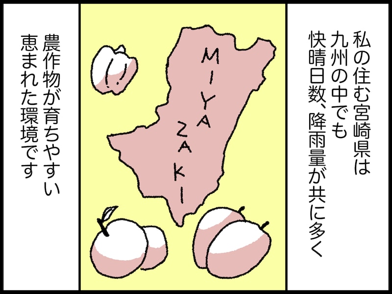 79歳女性のリアルな年金事情