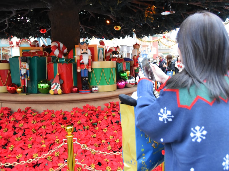 東京ディズニーランド