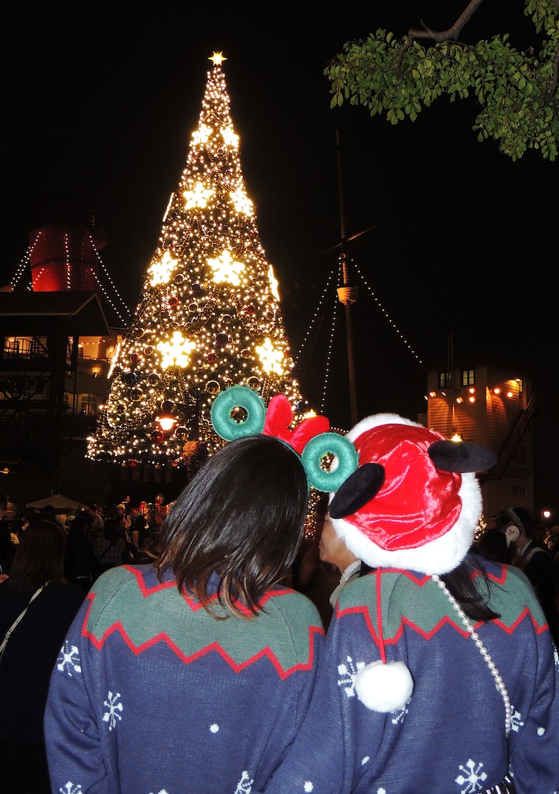 2024】「ディズニー・クリスマス」のお楽しみポイントを厳選 2024】「ディズニー・クリスマス」のお楽しみポイントを厳選