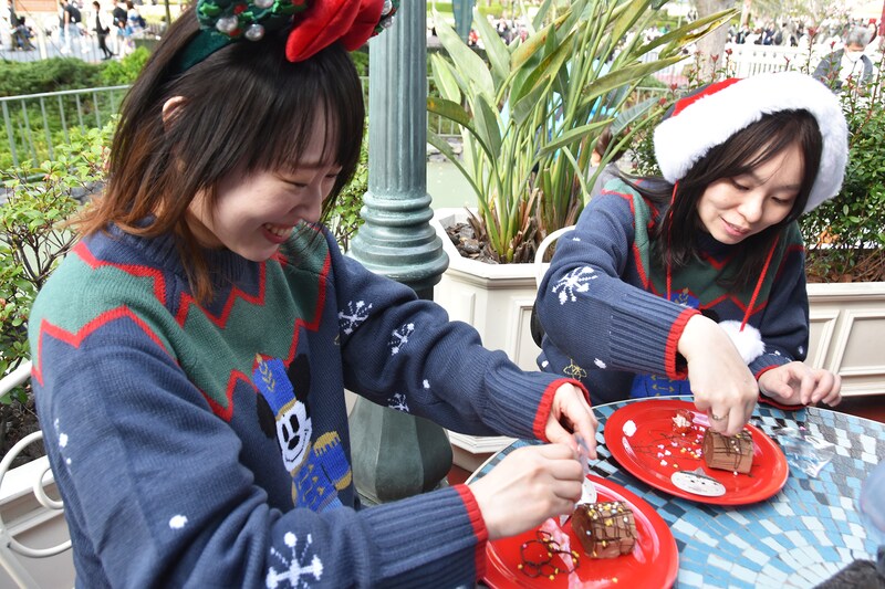 東京ディズニーランド