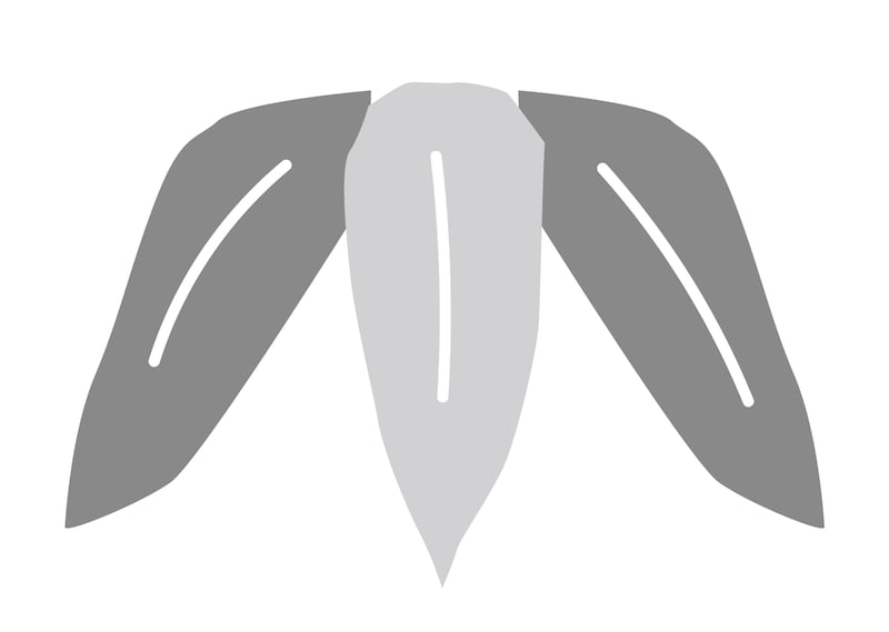 竹のイラスト（モノクロ）