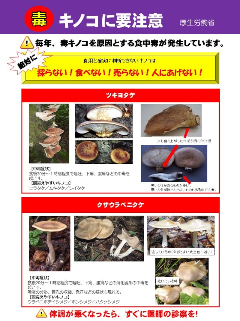 「毒きのこを食べないで」農水省が注意喚起