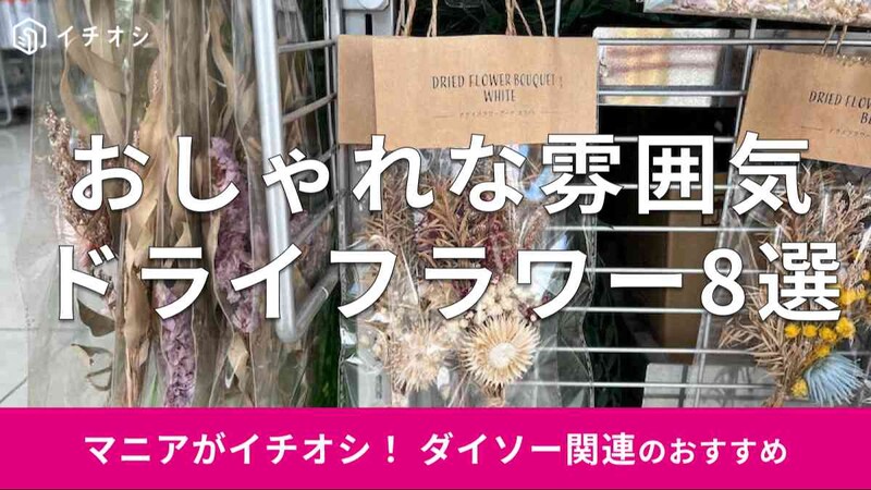 ダイソーの「ドライフラワー」おすすめ8種類