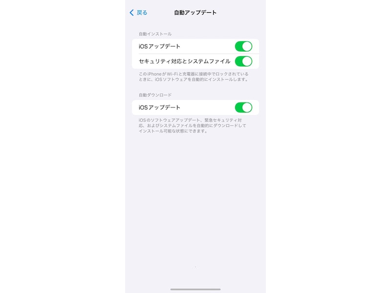 「自動アップデート」の項目をオンにする