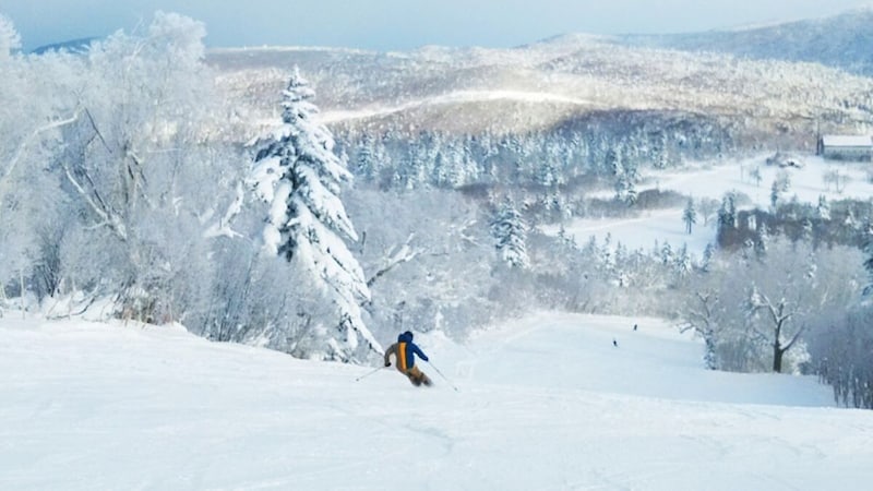 パウダースノーで覆われた早朝のゲレンデ