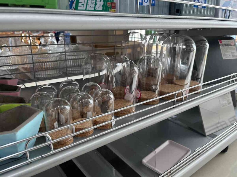 ダイソーの「ガラスインテリアドーム」