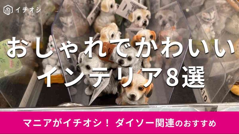 ダイソーの「インテリア」おすすめ8選
