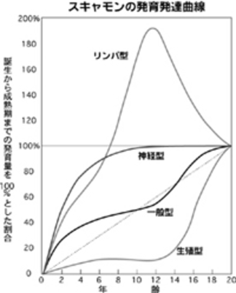 スキャモンの発達曲線