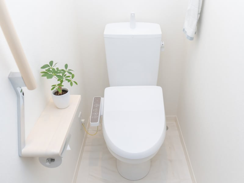 トイレが臭い家