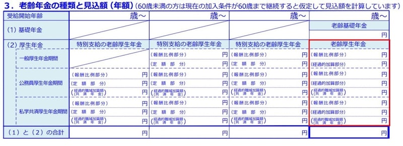 ねんきん定期便の見本・年金機構HPより