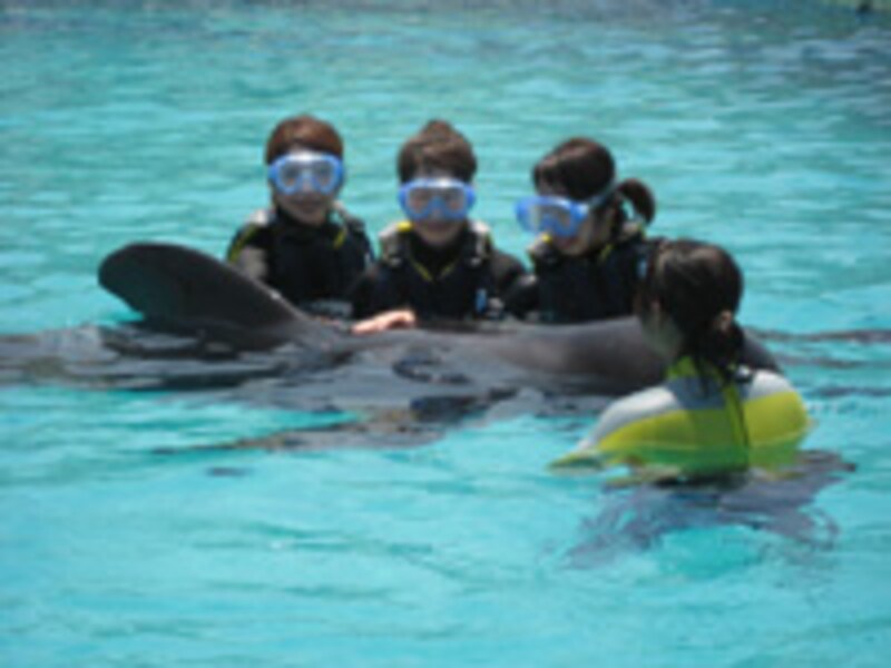 横浜・八景島シーパラダイス