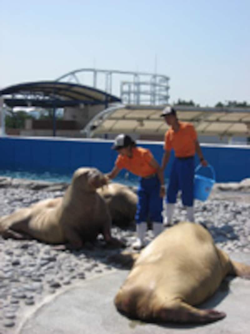横浜・八景島シーパラダイス