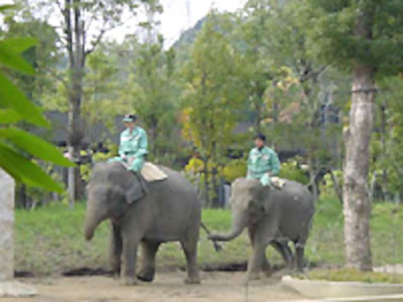 よこはま動物園ズーラシア