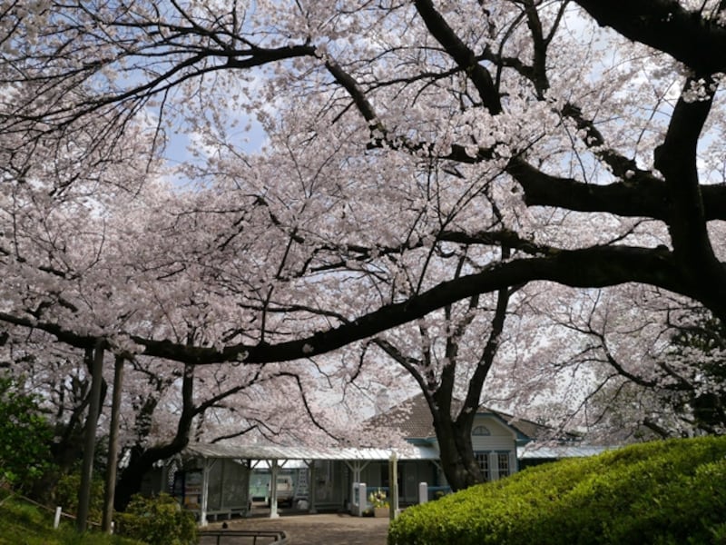 山手公園の管理事務所として利用されている「山手68番館」(2014年4月1日撮影)