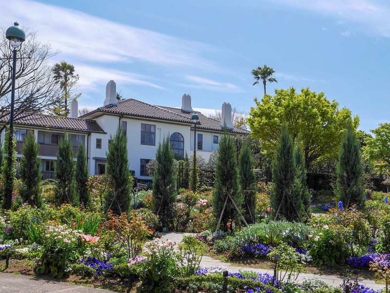 バラの季節はひときわ美しい横浜市イギリス館(2019年4月5日撮影)