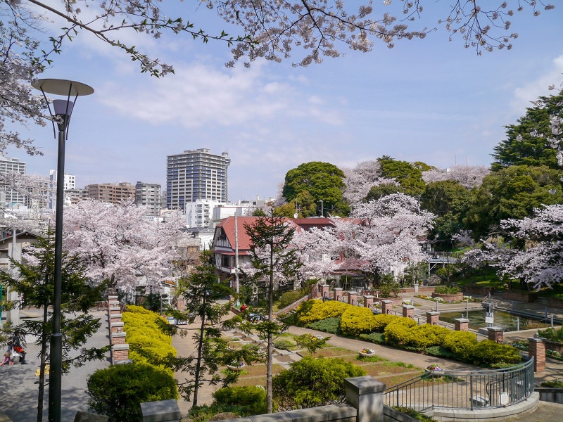 緑豊かな元町公園。春はサクラが咲き誇ります(2014年4月1日撮影)