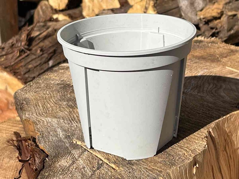 セリアの「スリット鉢」はどんな植物でも合わせやすい