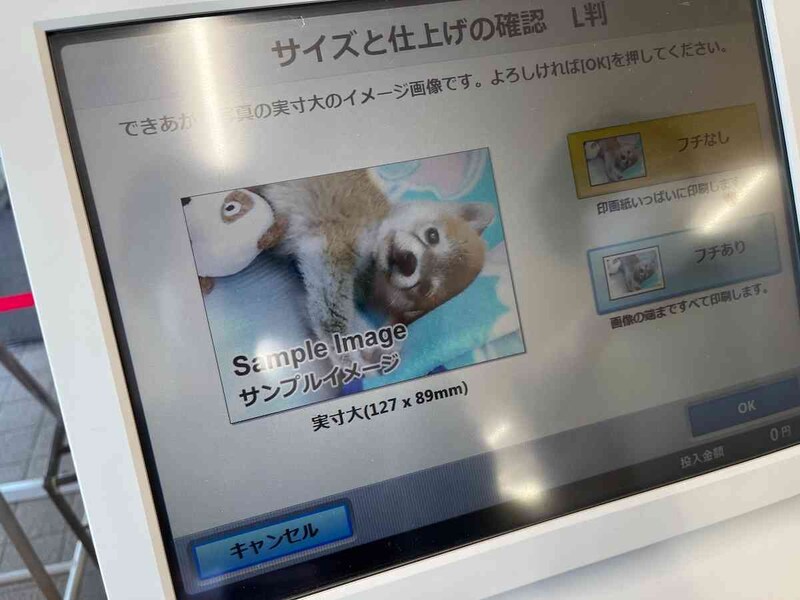 写真のサイズを確認し、フチなしか、フチありかを選ぶ