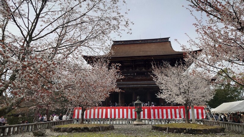 金峯山寺・蔵王堂(3)/桜と共に