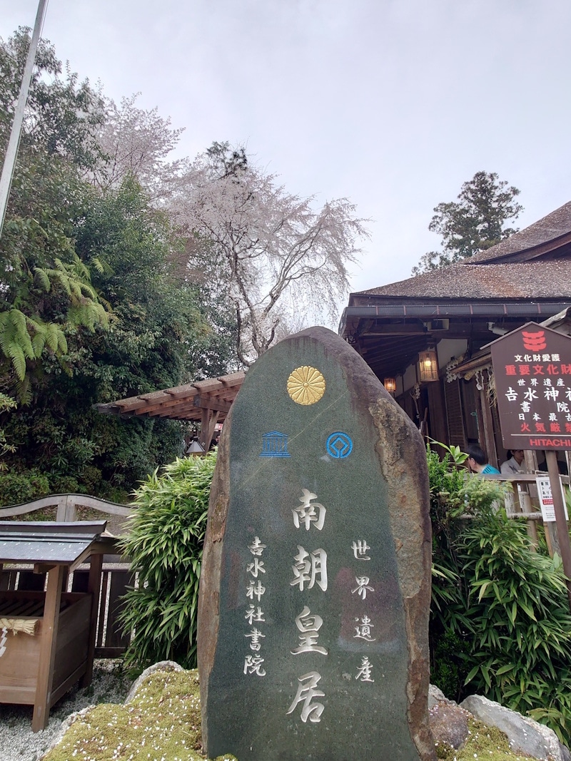 吉水神社(3)/源義経・静御前惜別の舞台跡に咲く桜