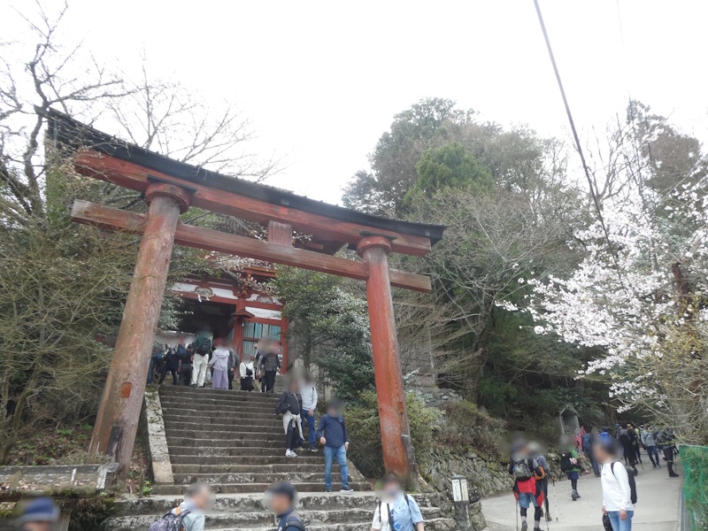 吉野水分神社の鳥居と桜