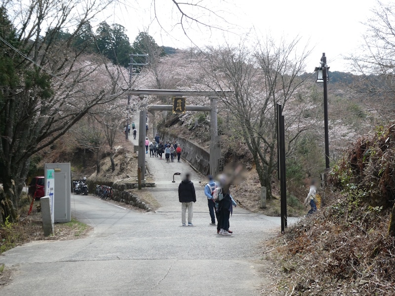 金峯神社の修行門と参道に咲く桜