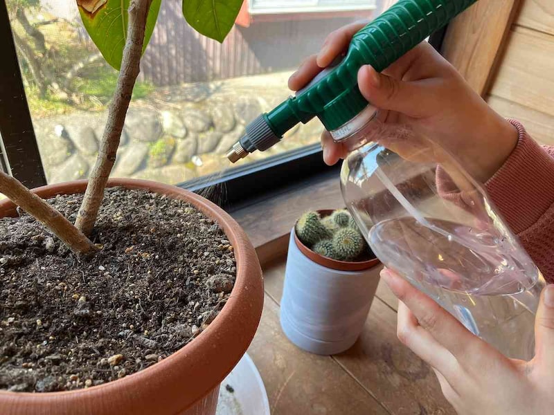 霧吹きのように細かい水が出てくる