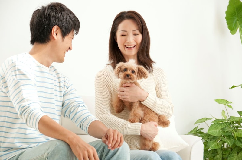 「iDeCo新規加入数」が昨年に比べ2倍！その理由は？