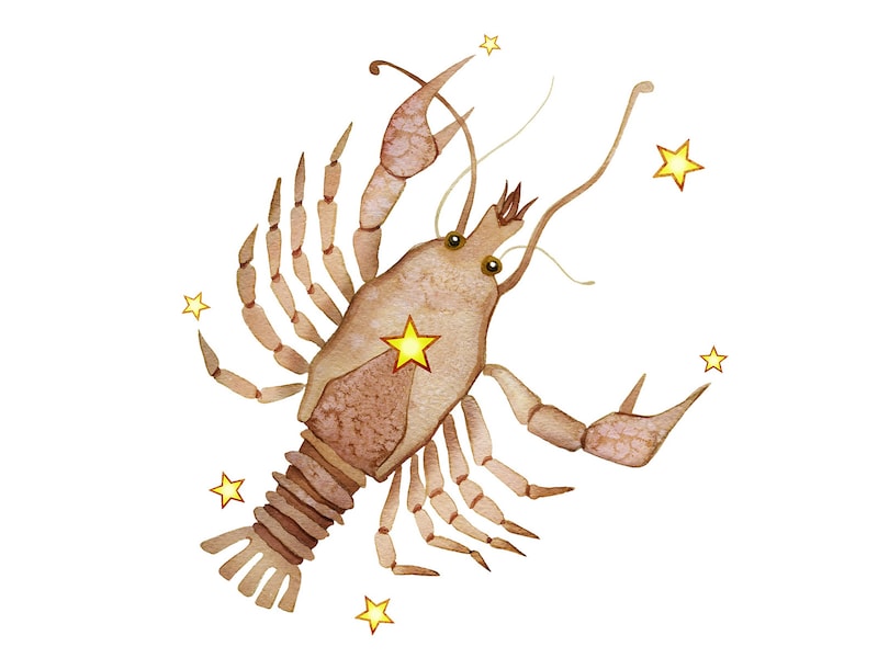 星占いを手掛かりに、あなたの金運アップ法を探っていきましょう