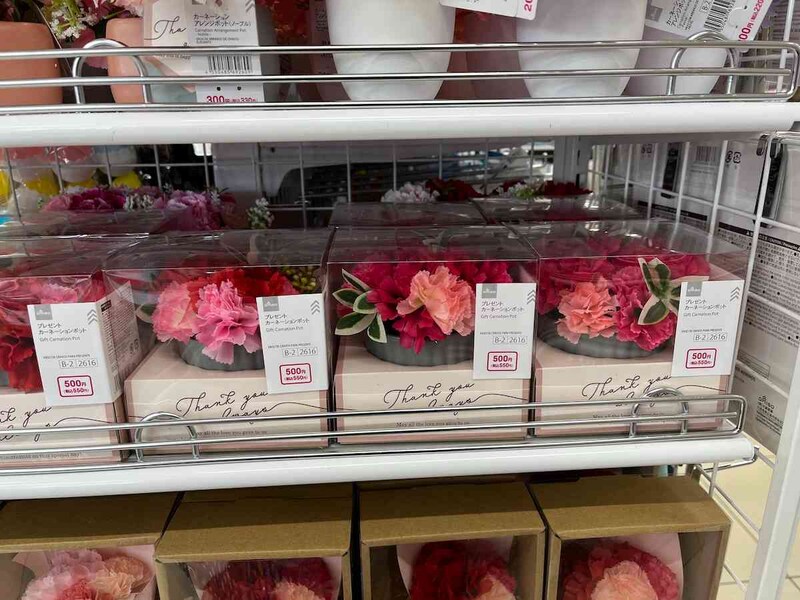 ダイソーの「プレゼントカーネーションポット」