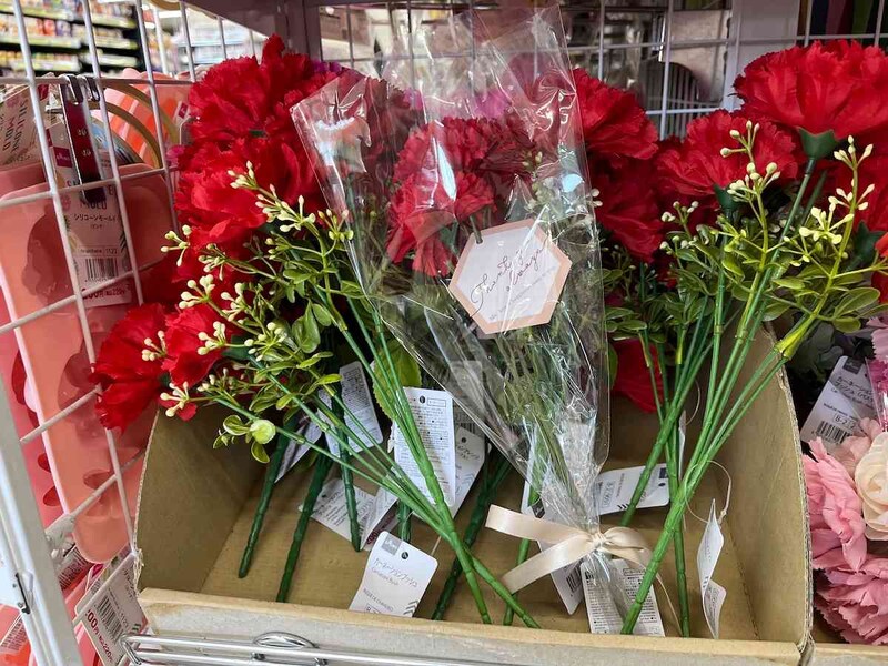 ダイソーの「カーネーションブッシュ」