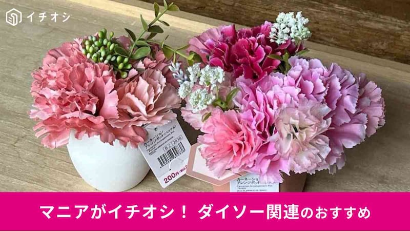 ダイソーの「カーネーションアレンジポット(パステル/ノーブル)」