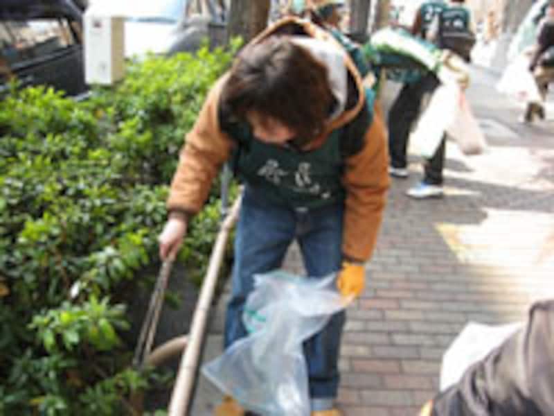 グリーンバード掃除1