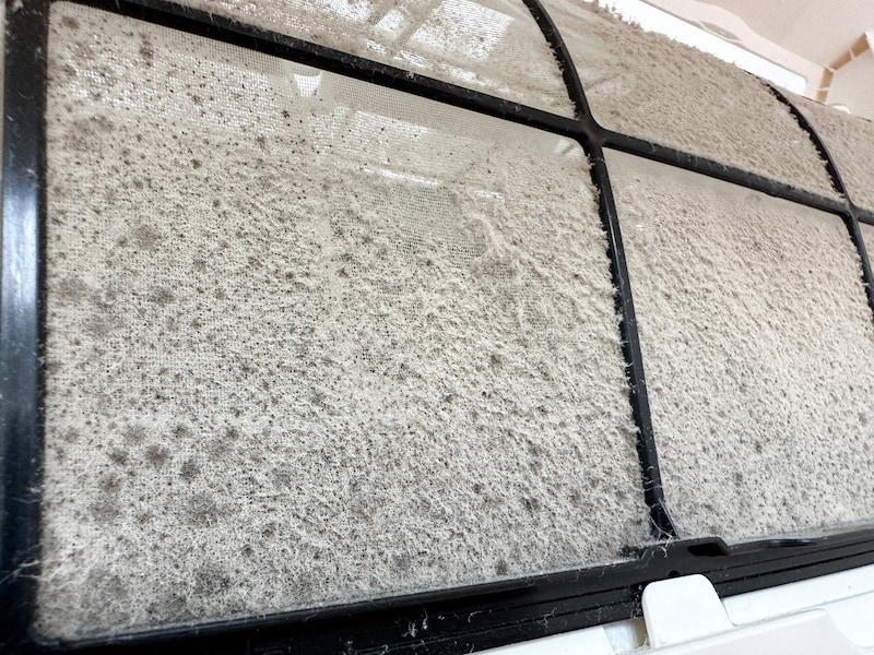 エアコンフィルターのカビ