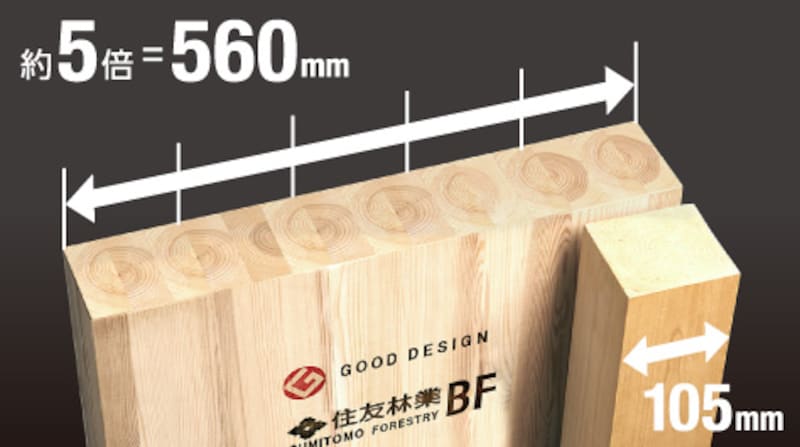 通常の柱が105mmであるのに対して、約5倍となる560mmの『ビッグコラム』