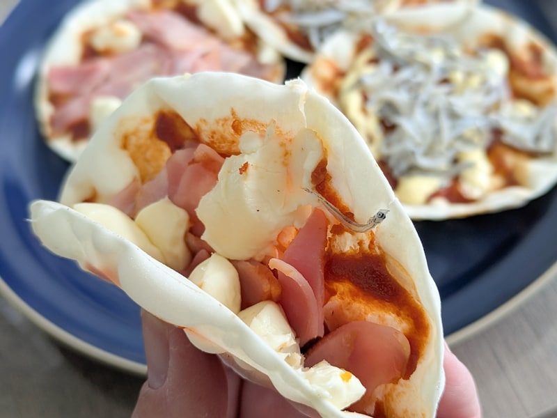 餃子の皮で作ったトルティーヤ