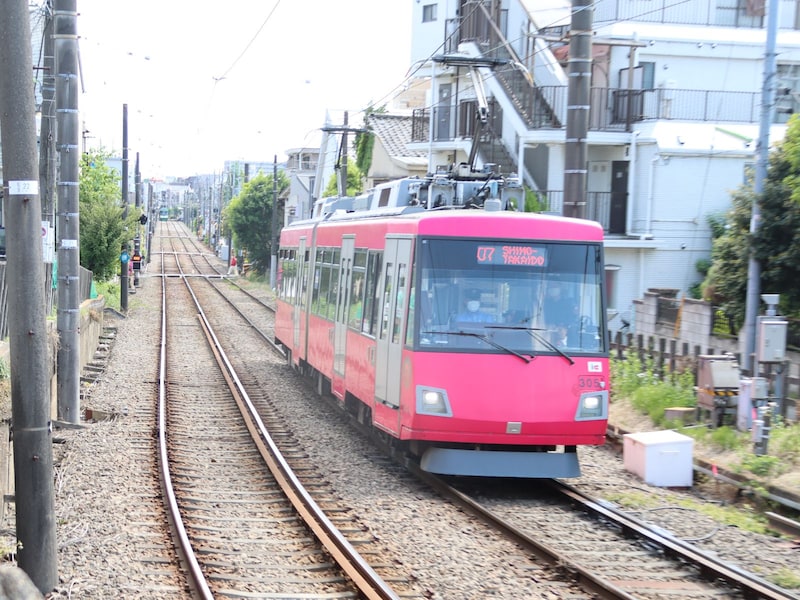 チェリーレッド