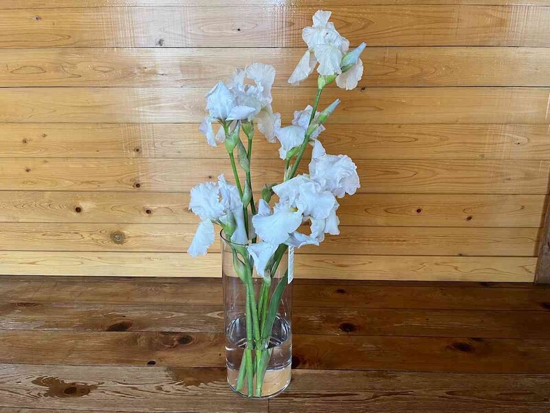 ダイソーの「割れにくい花瓶」は長い花も生けられる