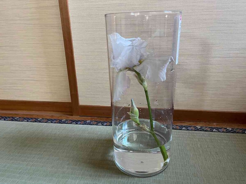 ダイソーの「割れにくい花瓶」の中に花を入れる方法も