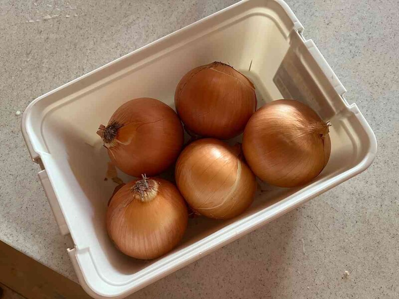 ダイソーの「アウトドアコンテナボックス（3L）」は玉ねぎ入れに