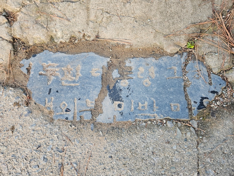 望月墓地公園