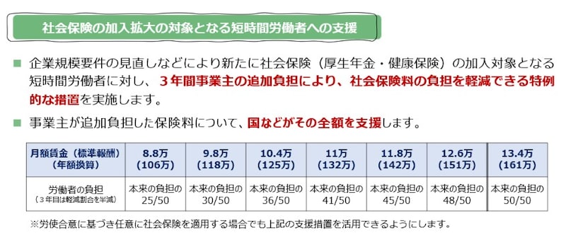 社会保険加入対象拡大,支援策,厚生労働省