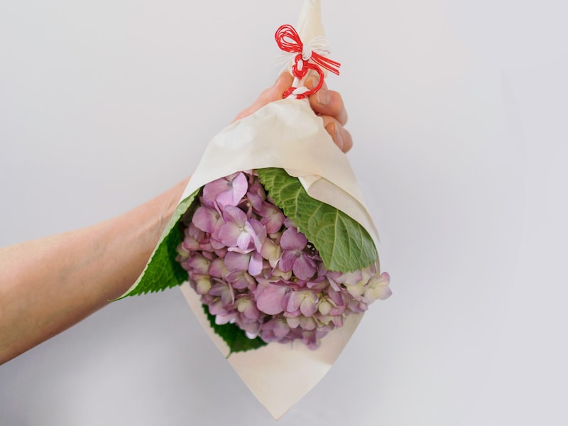 紫陽花を逆さまにして吊るす「魔除け」※画像出典：pensandoenmon / Shutterstock.com