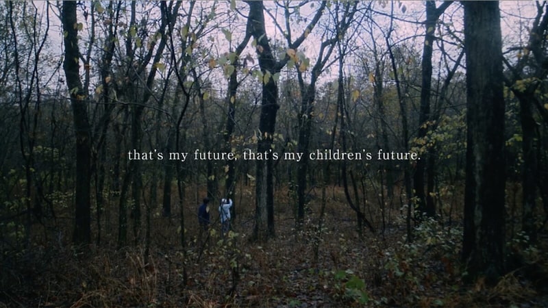 Traveling for our trees