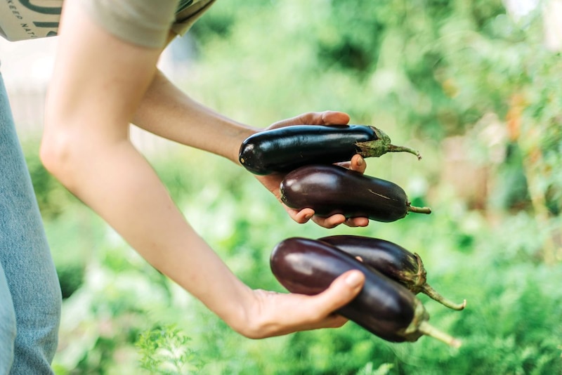 お金に愛される人の“趣味”とは？　（画像出典：amana）