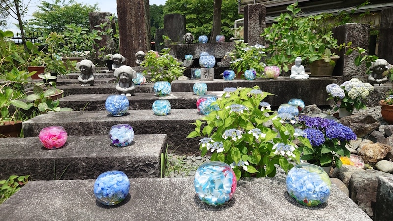 壺阪寺のあじさい（3）